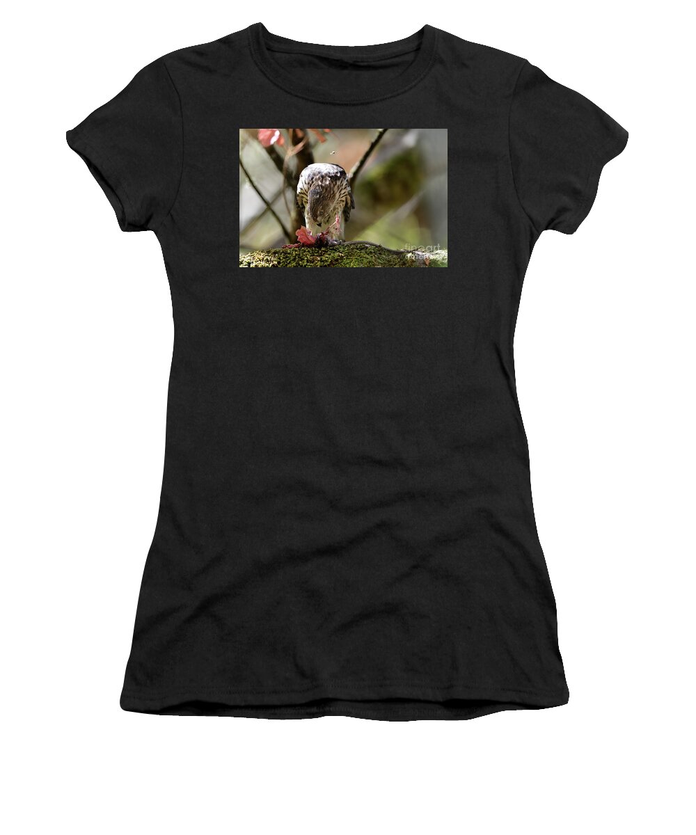 Cooper's Hawk Women's T-Shirt featuring the photograph A Juvenile Cooper's Hawk #1 by Amazing Action Photo Video