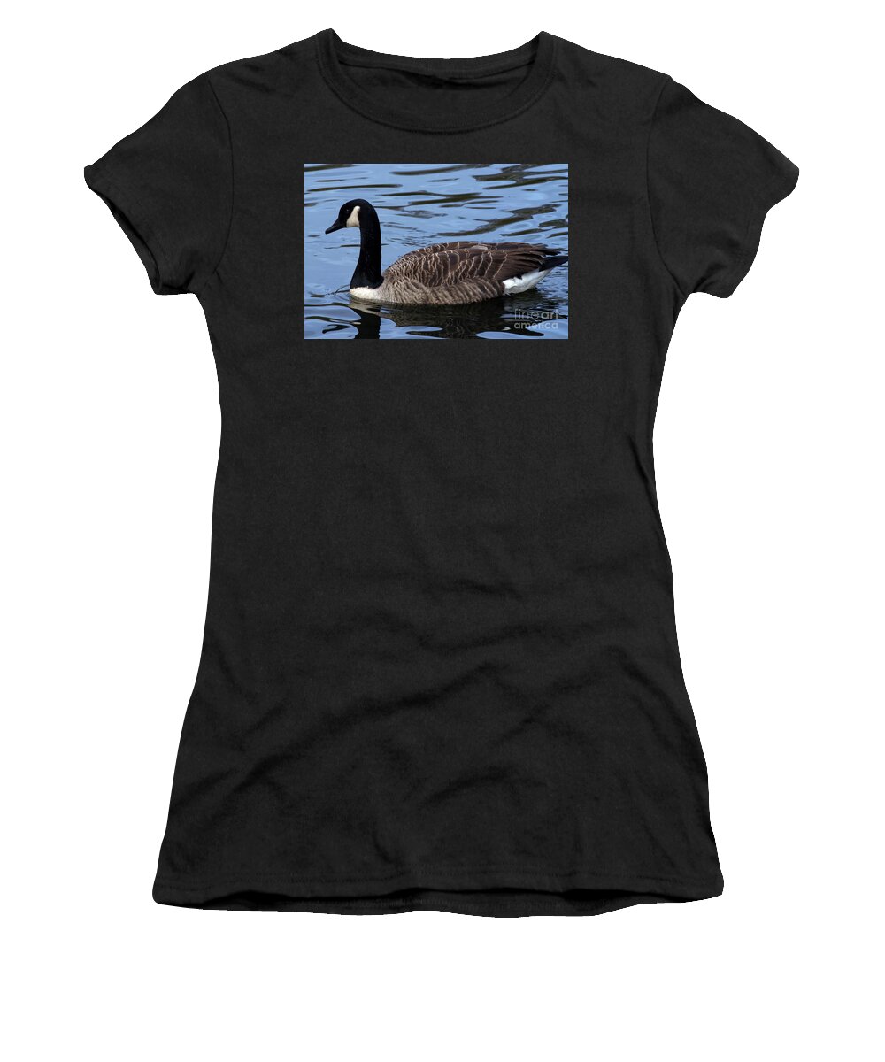 Canada Goose Women's T-Shirt featuring the photograph Canada Goose, Alkington Woods, Manchester, UK #1 by Pics By Tony