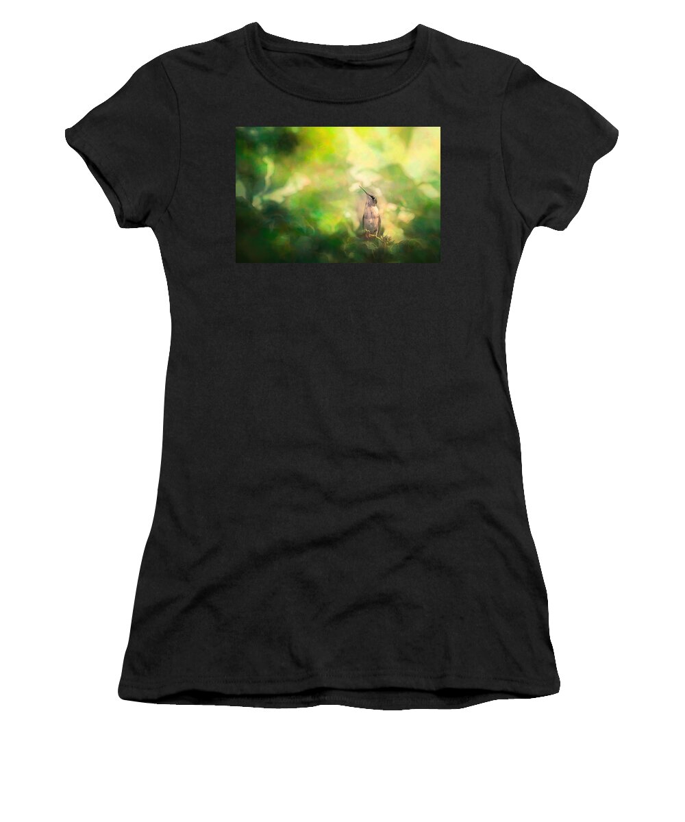 Hummingbird Women's T-Shirt featuring the photograph Hummingbird in Tree #1 by Allin Sorenson