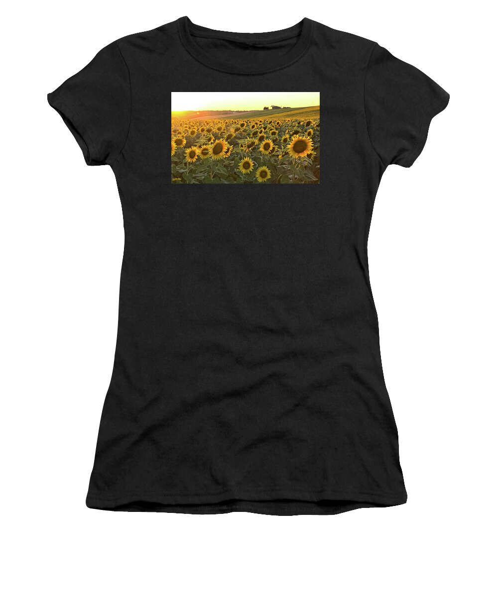 Sunflowers Women's T-Shirt featuring the photograph Sunflower field sunset #1 by Sean Hannon