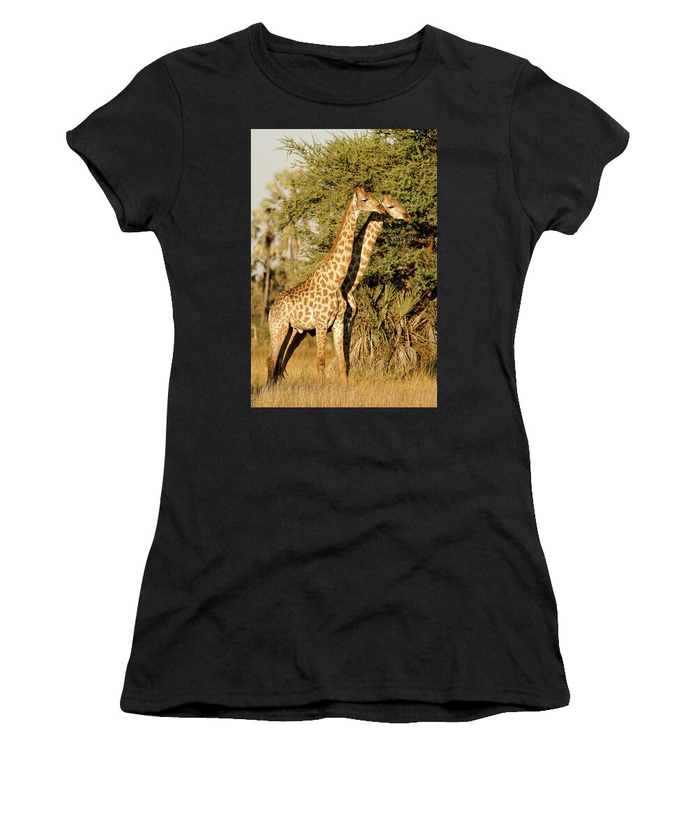 Giraffe Women's T-Shirt featuring the photograph 2 Giraffe by MaryJane Sesto