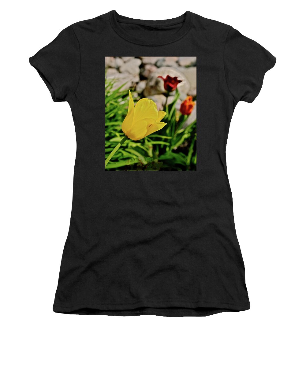 Tulips Women's T-Shirt featuring the photograph 2020 Acewood Tulips By the Water 1 by Janis Senungetuk