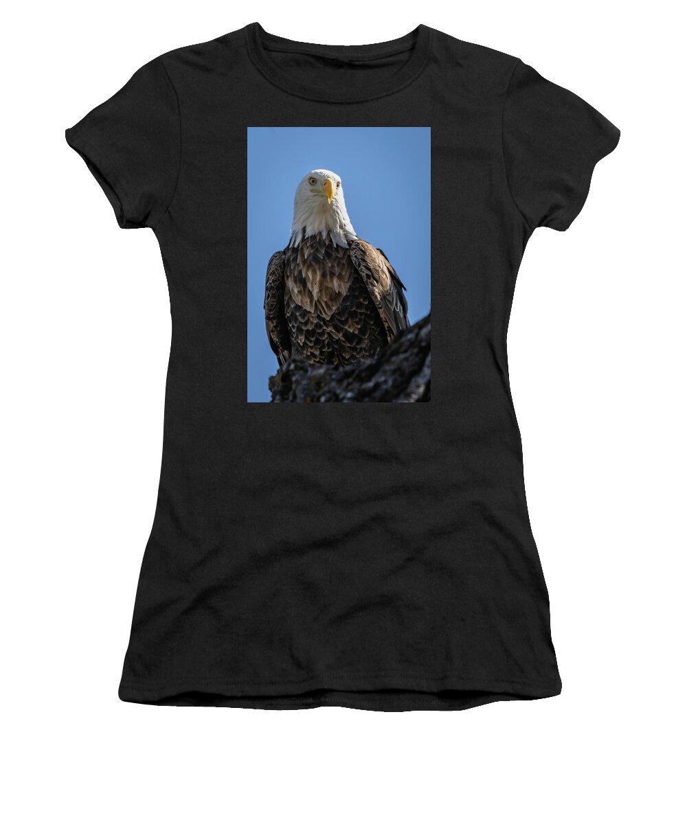 Eagle Women's T-Shirt featuring the photograph Well Hello #3 by Laura Hedien
