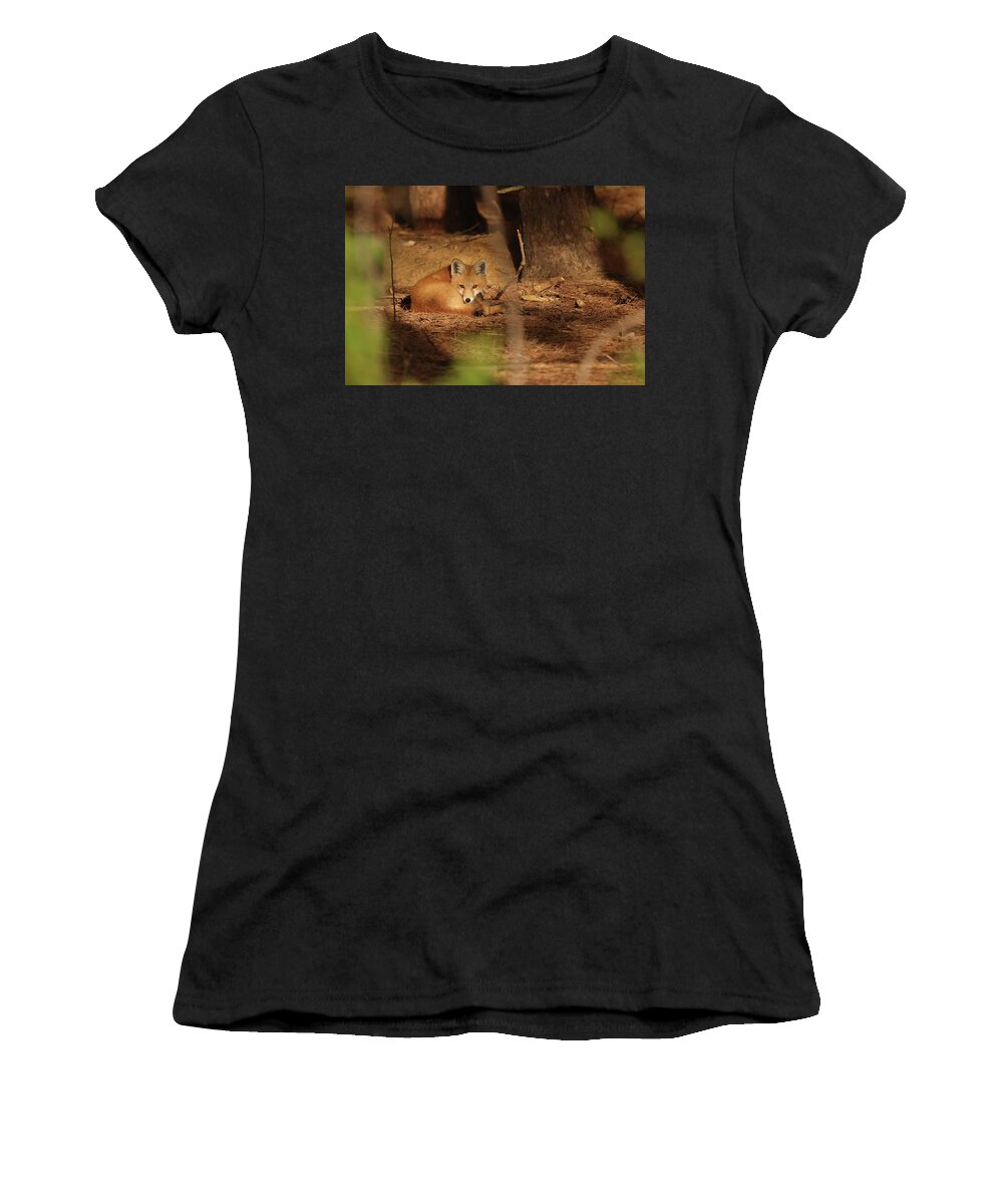 Fox Women's T-Shirt featuring the photograph Fox Kit #39 by Brook Burling