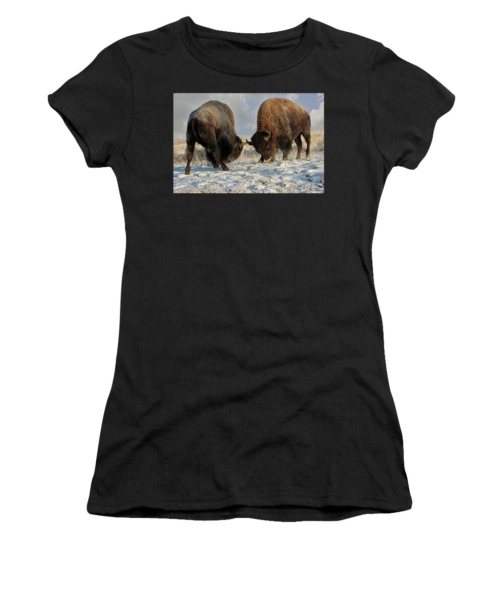 Winter Women's T-Shirt featuring the photograph A fight Between Two Male Bison, American Buffalo in a Snow Field by OLena Art by Lena Owens - Vibrant DESIGN