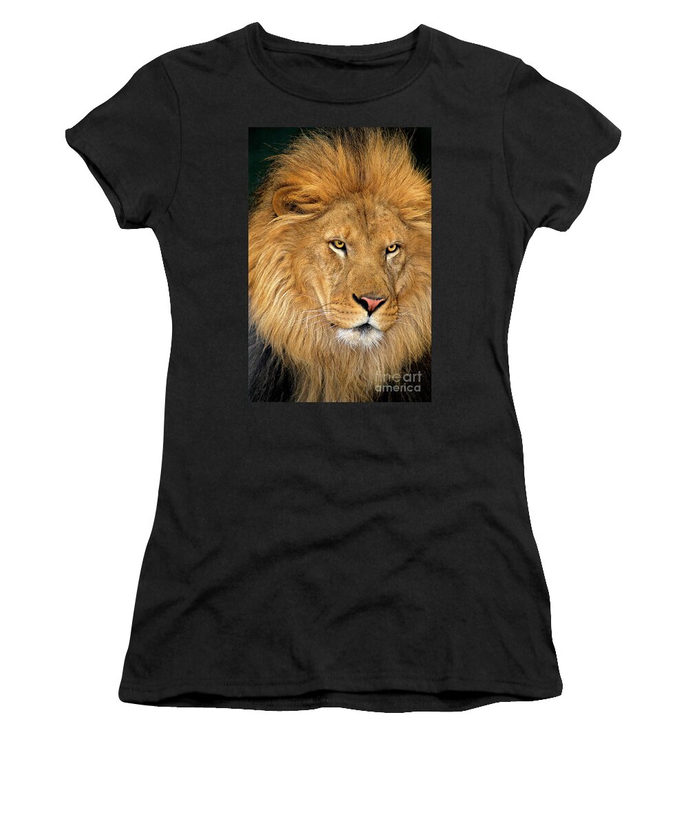 Dave Welling Women's T-Shirt featuring the photograph African Lion Panthera Leo Wildlife Rescue by Dave Welling