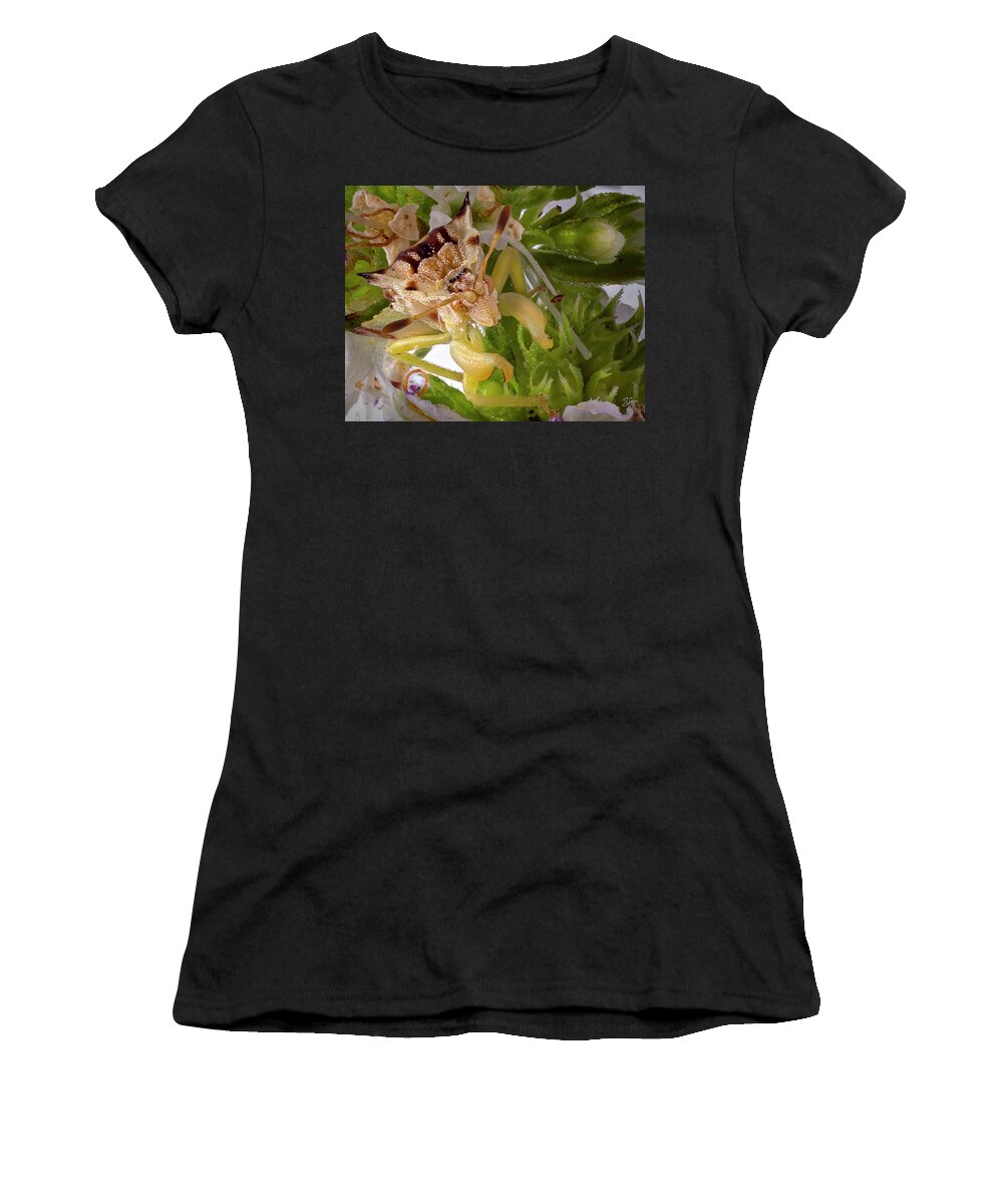 Ambush Bug Women's T-Shirt featuring the photograph Ambush Bug 1 by Endre Balogh