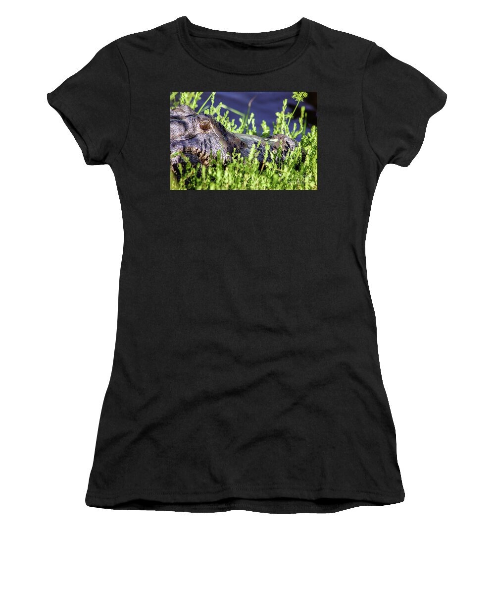 Alligator Women's T-Shirt featuring the photograph American Alligator by Joanne Carey