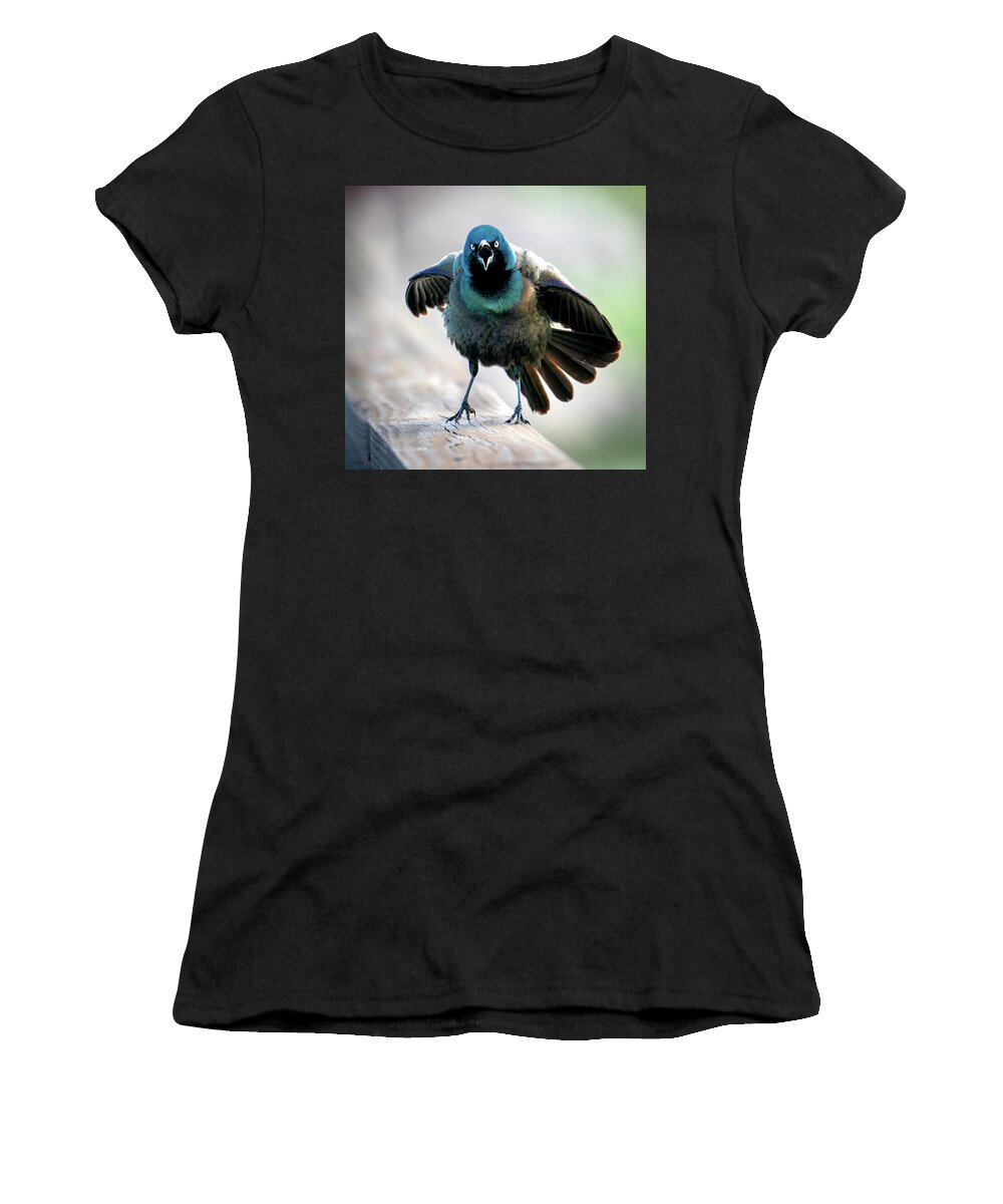Grackles Women's T-Shirt featuring the photograph Angry Bird by Judi Dressler