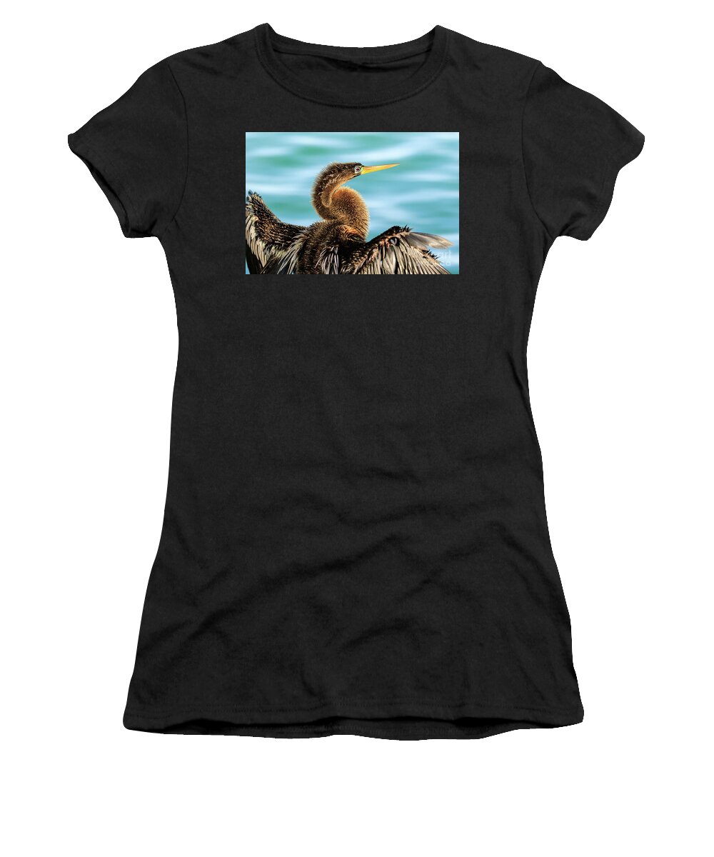 Animal Women's T-Shirt featuring the photograph Anhinga Florida by Ben Graham