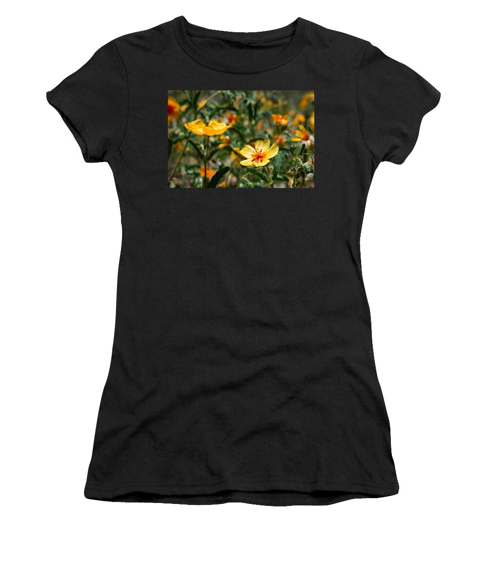 Summer Women's T-Shirt featuring the photograph Arizona Poppies by Bonny Puckett