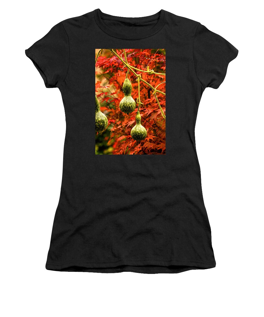 Autumn Women's T-Shirt featuring the photograph Autumn Scene 2022 by Richard Cummings