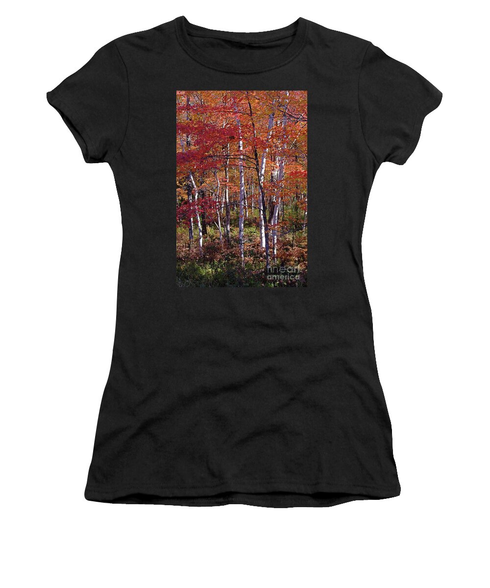 Birch Women's T-Shirt featuring the photograph Autumn White Birch by Randy Pollard