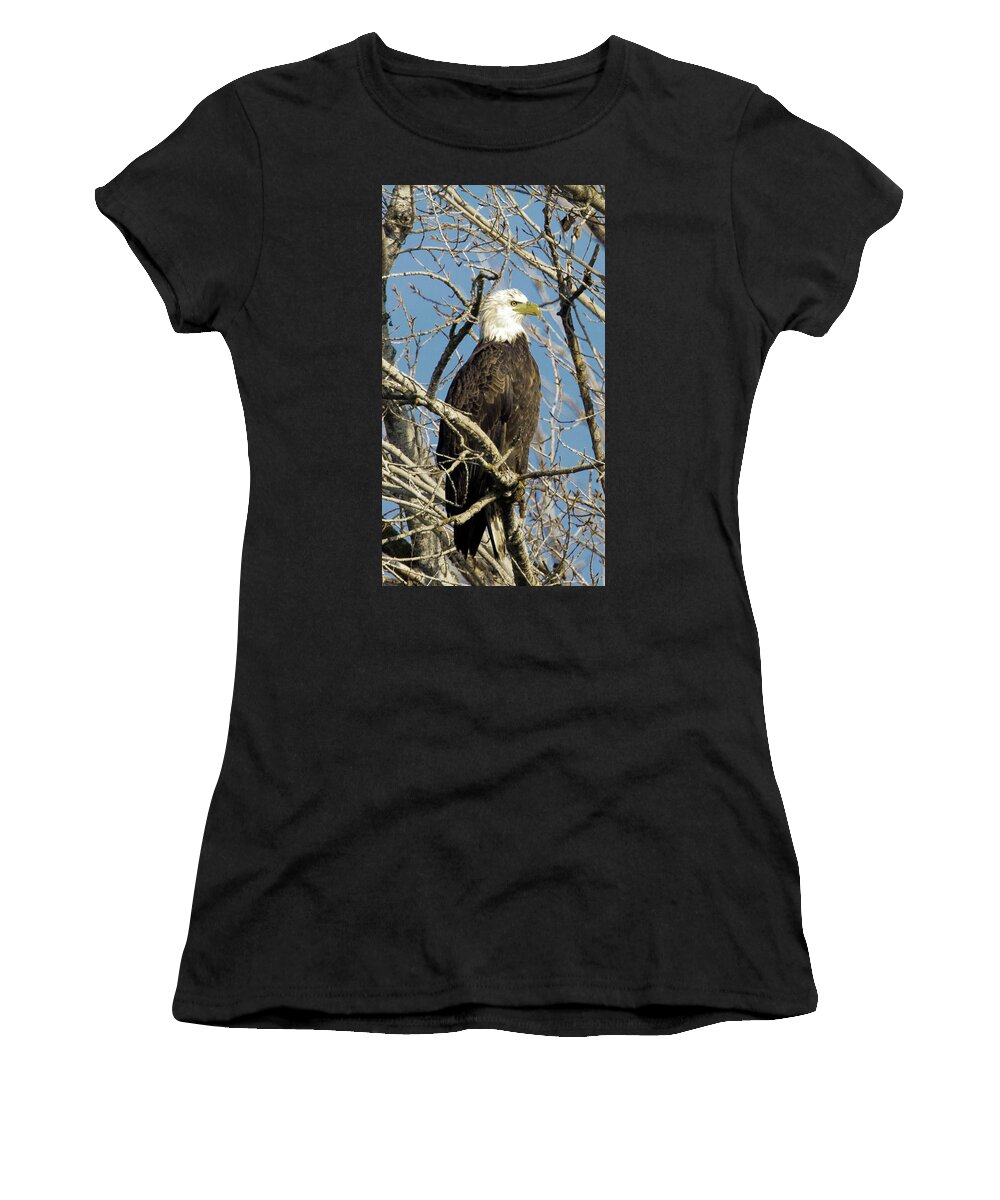 Eagle Women's T-Shirt featuring the photograph Bald eagle by Floyd Hopper