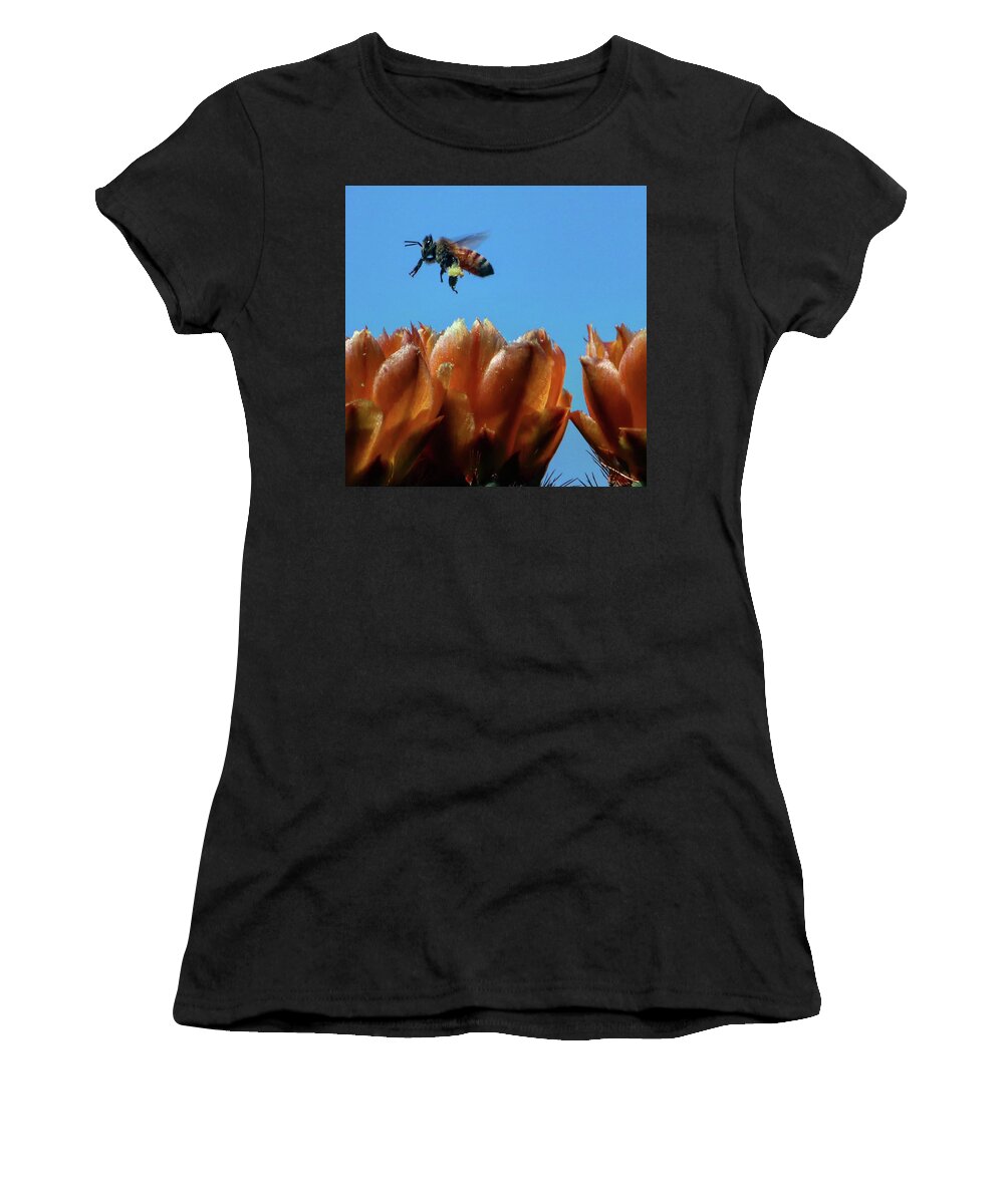 Bee Women's T-Shirt featuring the photograph Bee Pollen by Perry Hoffman