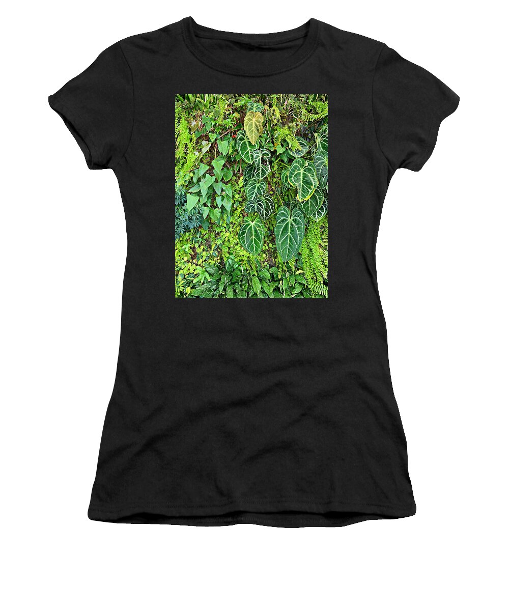 Bhm Women's T-Shirt featuring the photograph BHM Living Wall Study 5 by Robert Meyers-Lussier