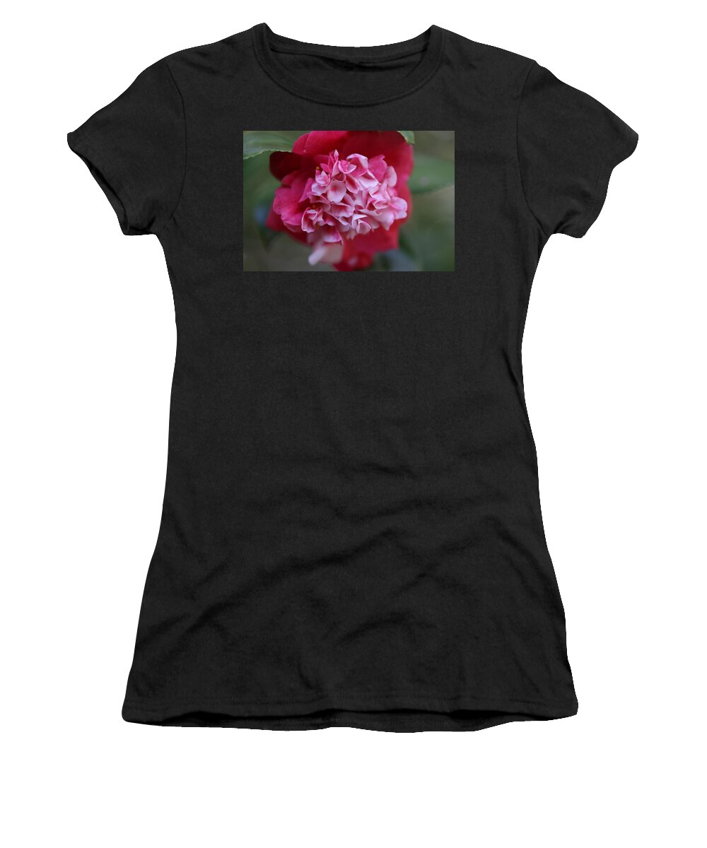 Camellia Women's T-Shirt featuring the photograph Bi-Color Camellia II by Mingming Jiang