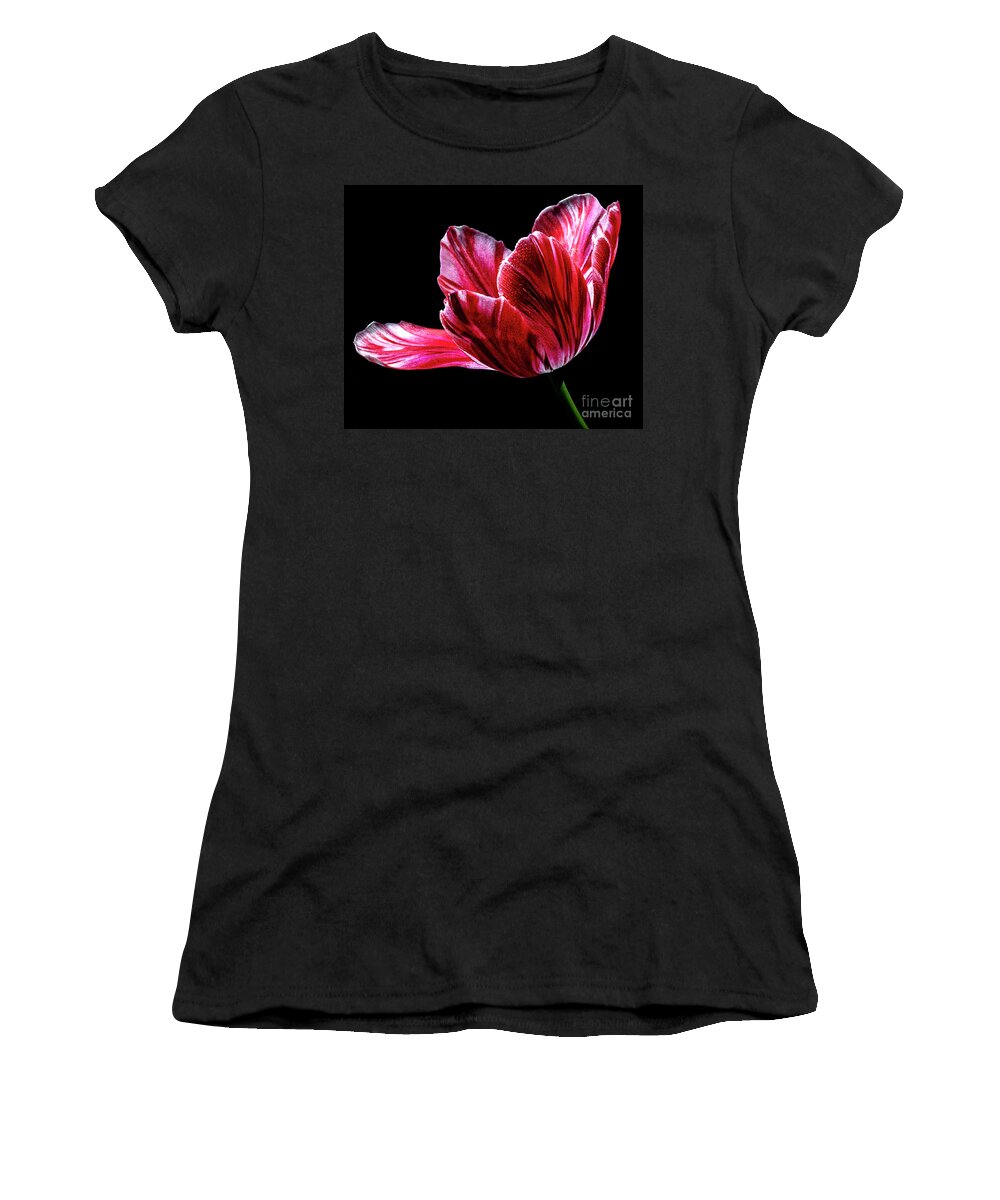 Red Women's T-Shirt featuring the photograph Billowing by Doug Norkum