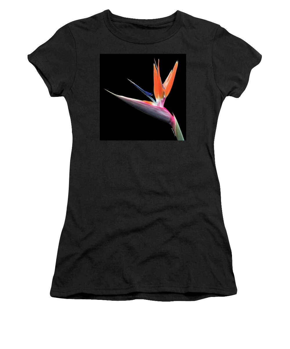 Photography Women's T-Shirt featuring the photograph Bird of Paradise by Larry Nader
