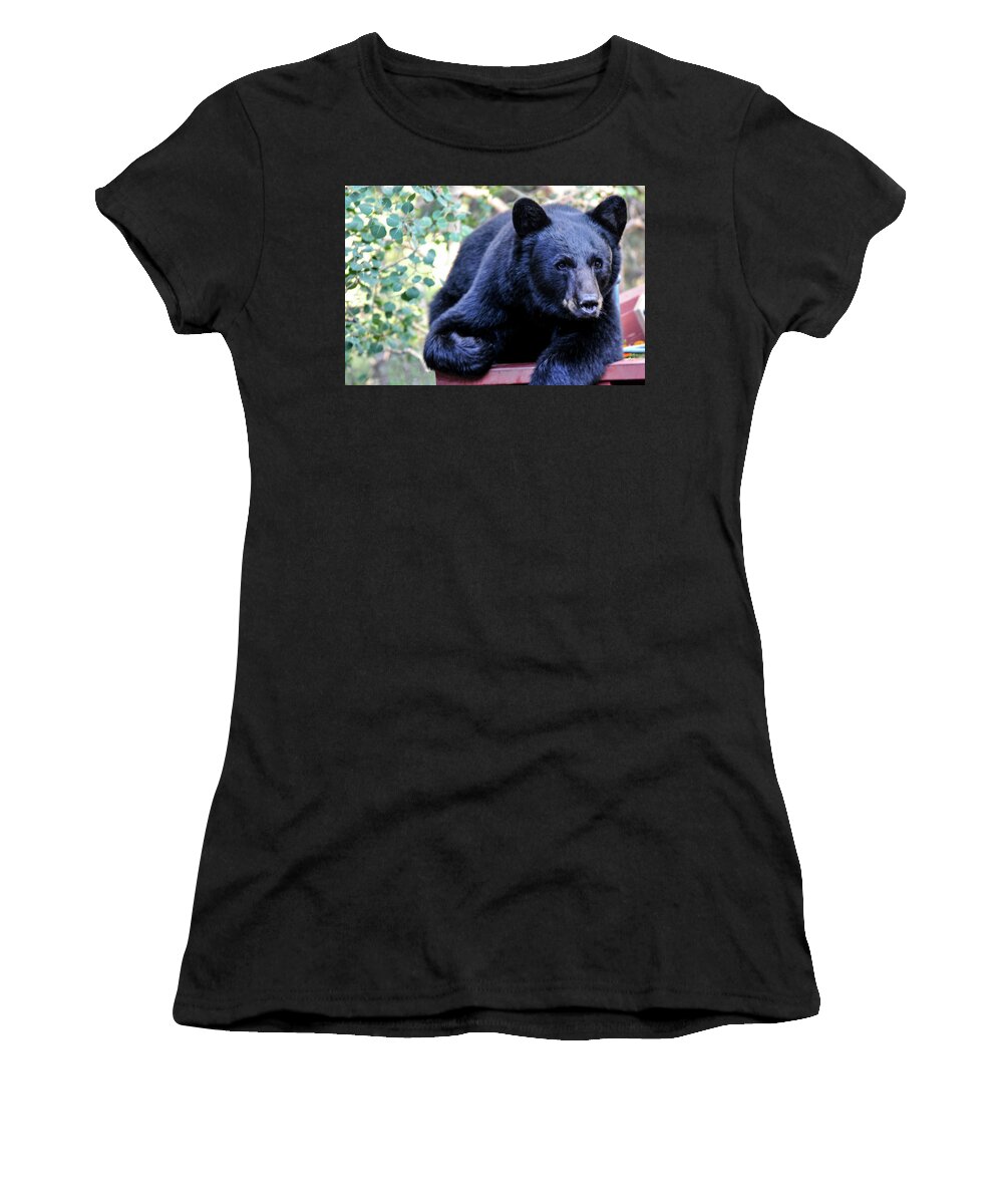 Colorado Women's T-Shirt featuring the photograph Black Bear - Lazy Days by Marilyn Burton