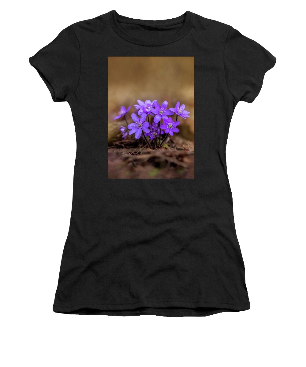 Flower Women's T-Shirt featuring the photograph Blooming hepatica in the morning light by Jaroslaw Blaminsky