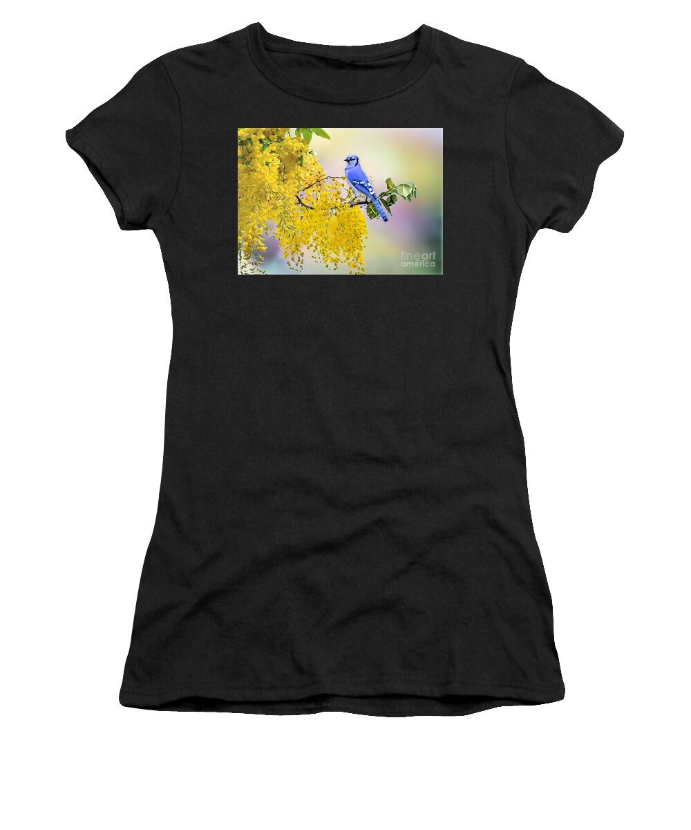 Blue Jay Women's T-Shirt featuring the mixed media Blue Jay on Laburnum by Morag Bates