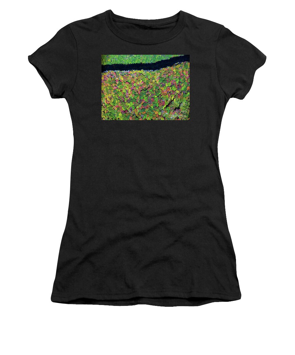 Blue Ridge Parkway Women's T-Shirt featuring the photograph Blue Ridge Parkway with Autumn Colors by David Oppenheimer