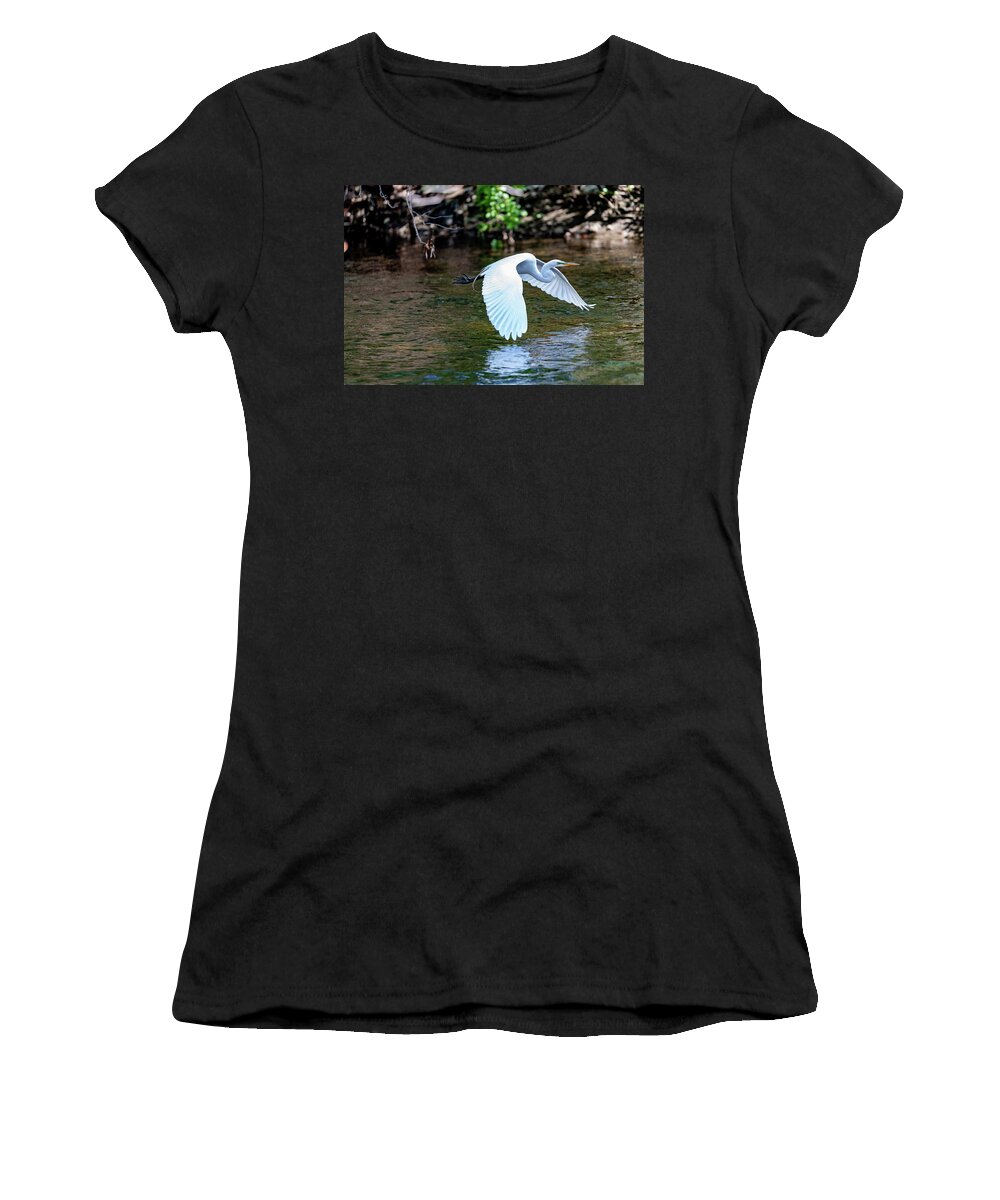 Bronx River Women's T-Shirt featuring the photograph Bronx River Great Egret by Kevin Suttlehan