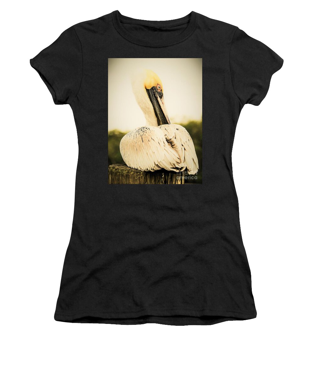 Brown Pelican Women's T-Shirt featuring the photograph Brown Pelican Burlesque by Joanne Carey