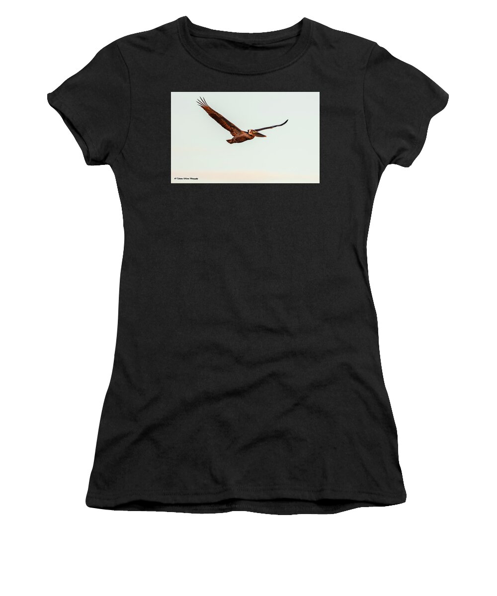 Pelican Women's T-Shirt featuring the photograph Brown Pelican in Flight 2 by Tahmina Watson