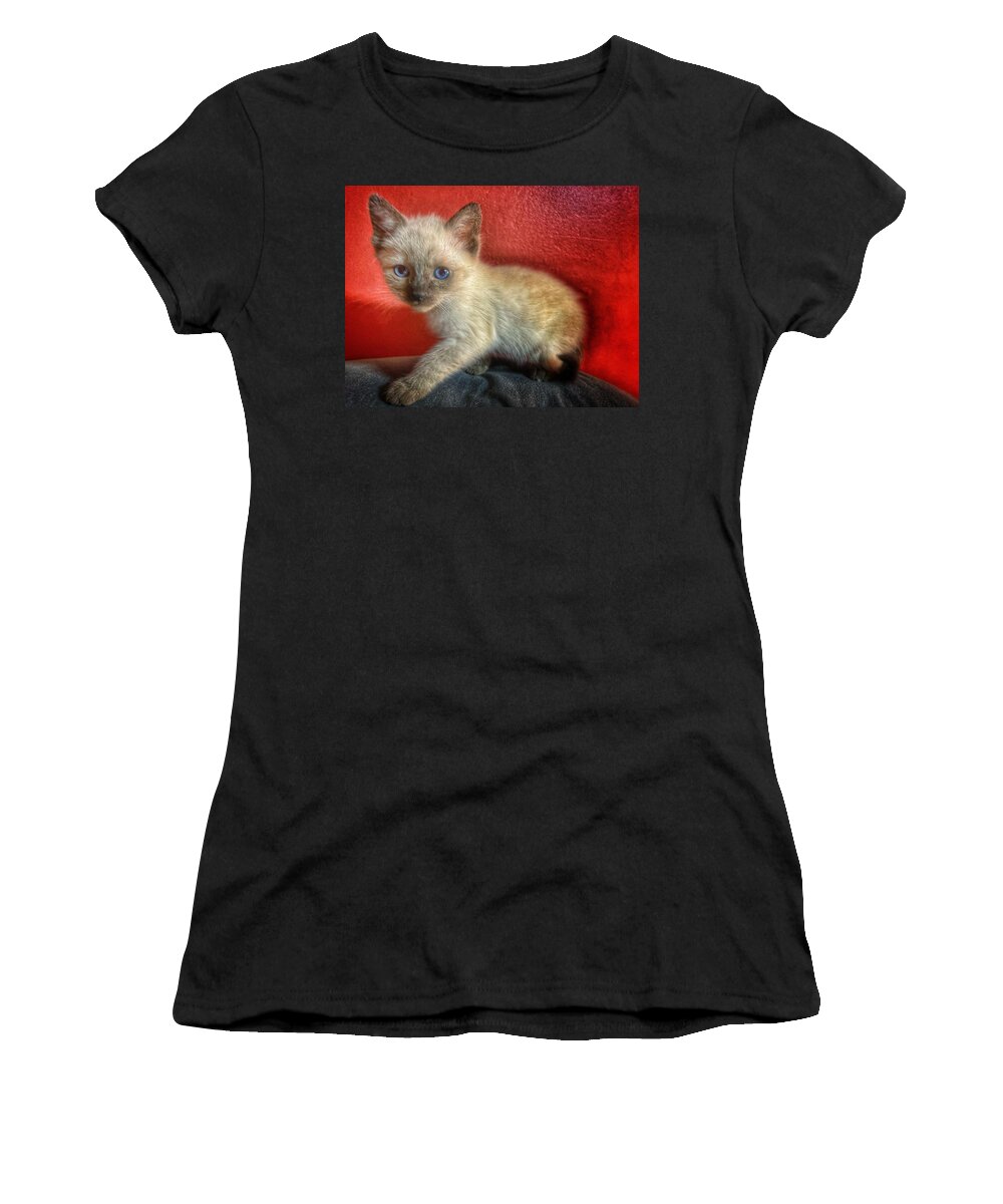 Kitten Women's T-Shirt featuring the photograph Christmas Kitty by DArcy Evans