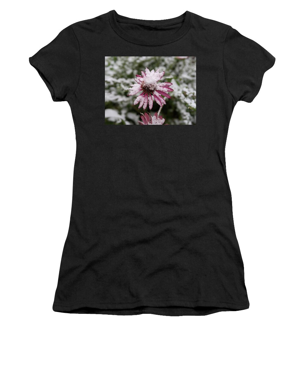 Snow Women's T-Shirt featuring the photograph Coneflower in the snow by Lisa Mutch
