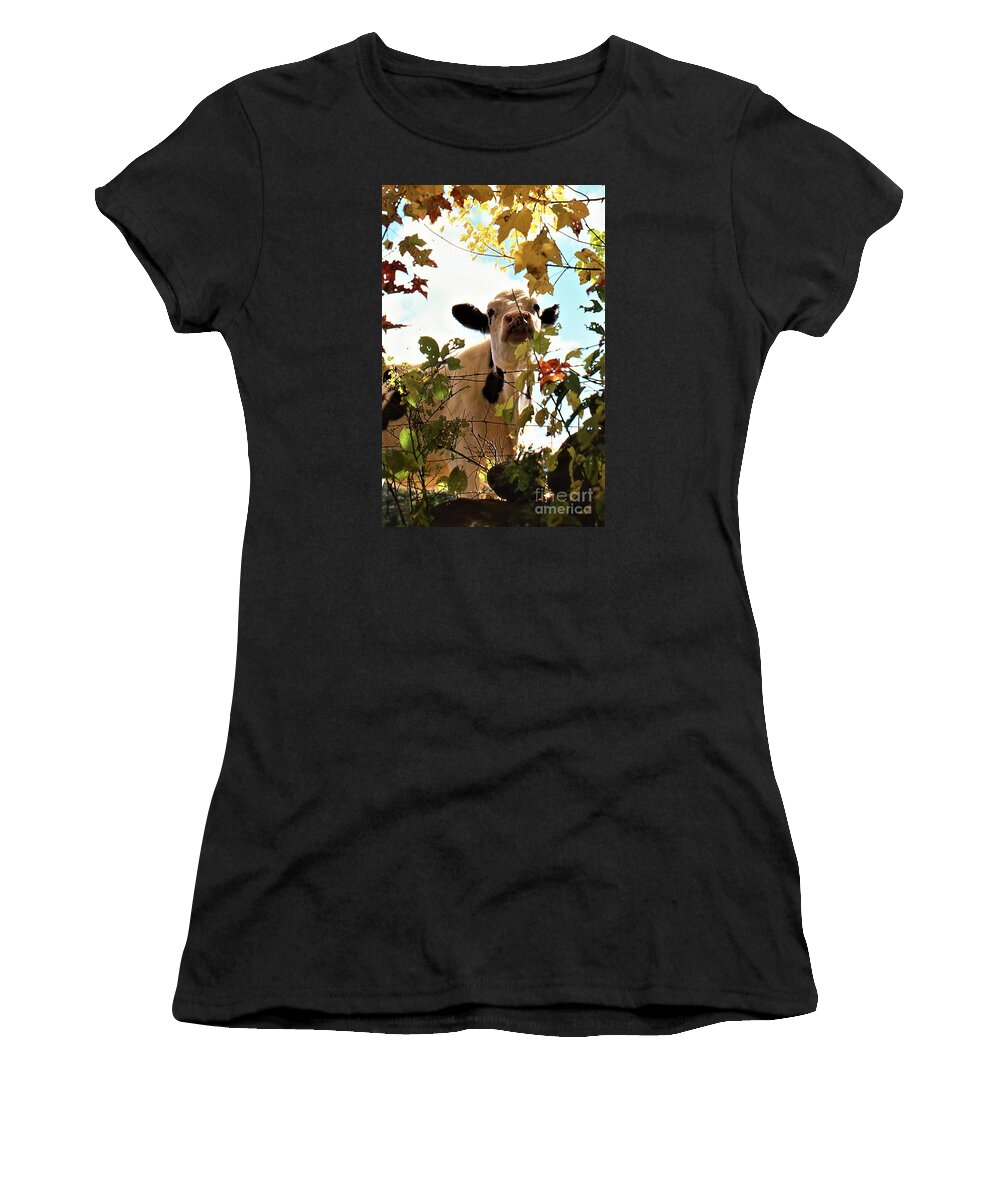 Cow Animals Trees Leaves Farm Women's T-Shirt featuring the photograph Curious Cow by Don Struke