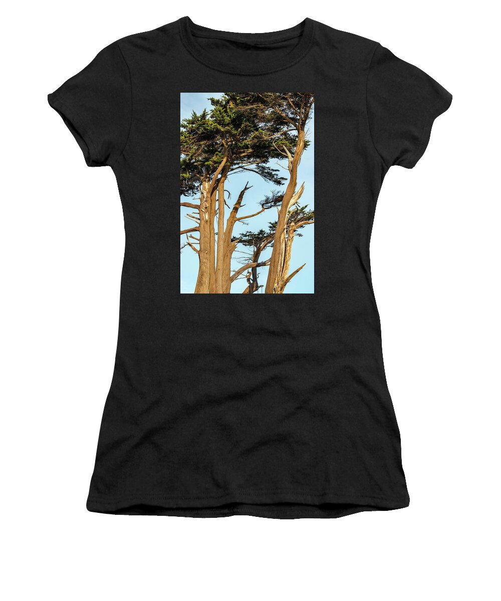 Cypress Trees Women's T-Shirt featuring the photograph Cypress Trees at Battery LIghthouse by Cathy Anderson