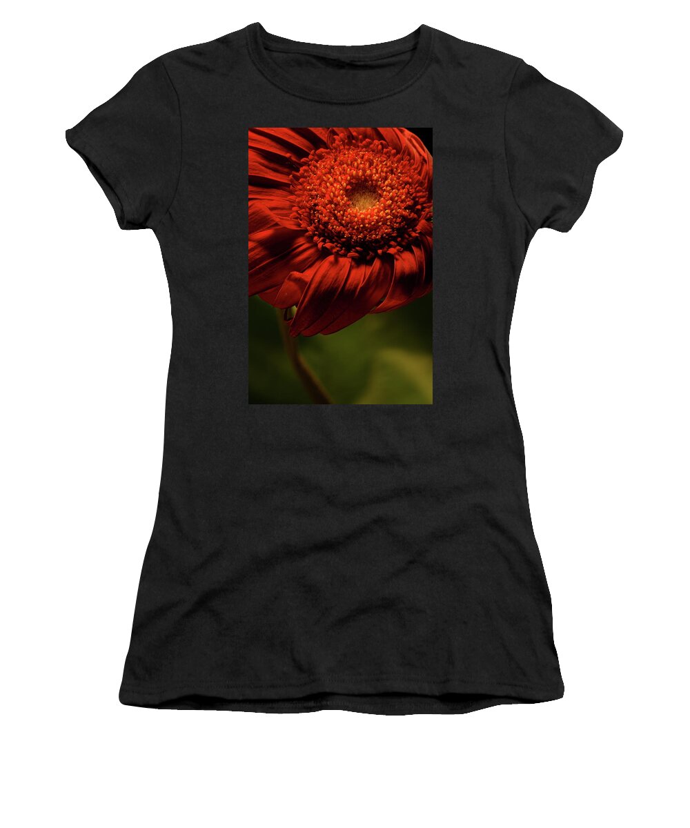 Flower Women's T-Shirt featuring the photograph Daisy 9783 by Julie Powell