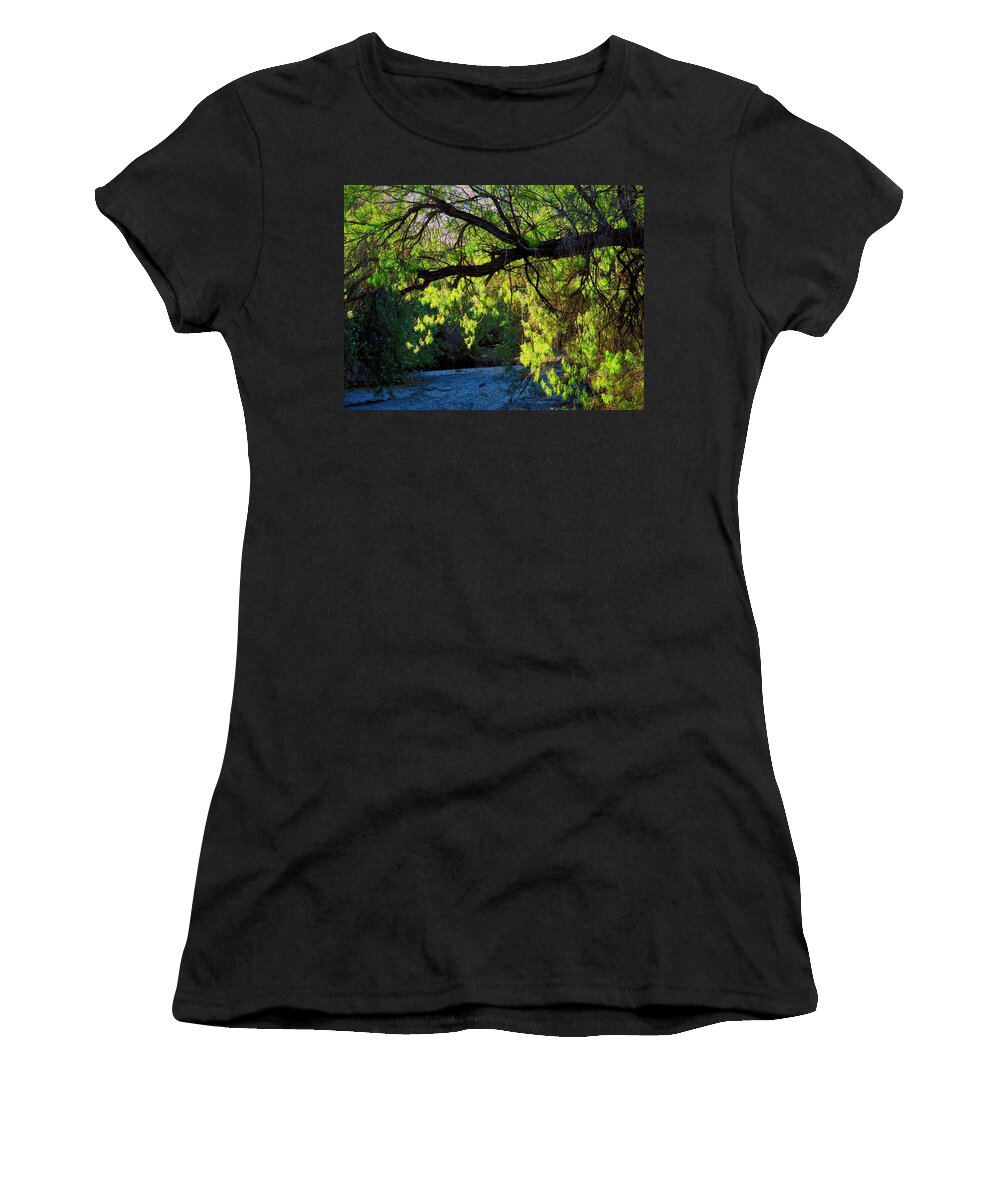 Desert Plants Women's T-Shirt featuring the photograph Deep in the Vekol by Judy Kennedy