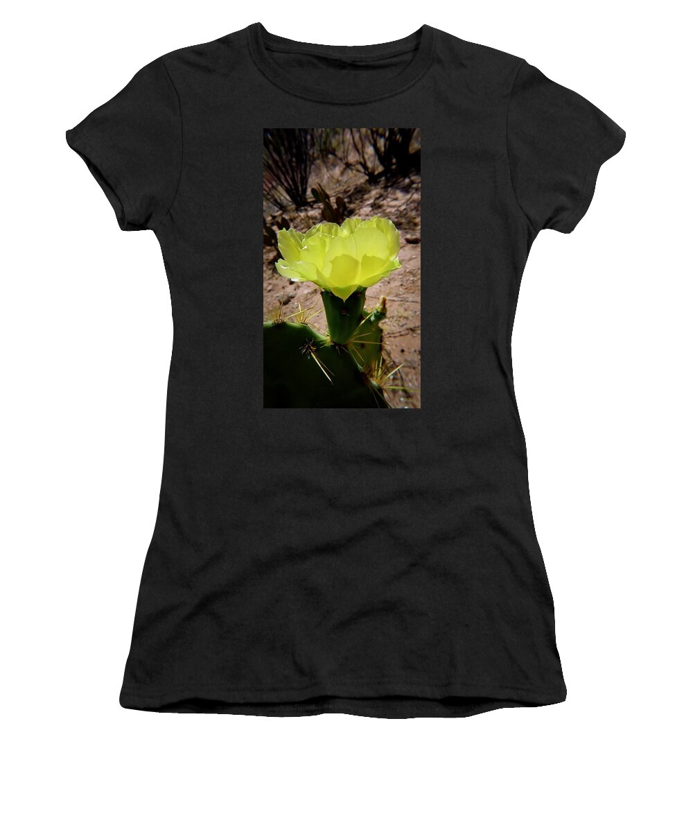 American Southwest Women's T-Shirt featuring the photograph Desert Bloom by Judy Kennedy