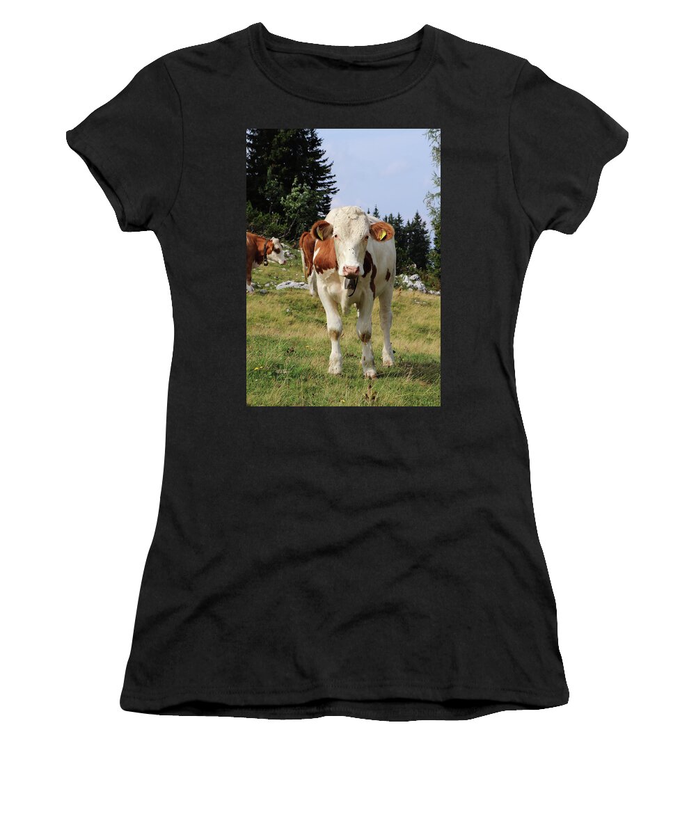 Hochkar Women's T-Shirt featuring the photograph Detail on Pinzgauer cattle cow on meadows in the Austrian Alps. beautiful brown and white organizes the freshest grass without harmful substances. Hochkar mountain, Austria by Vaclav Sonnek