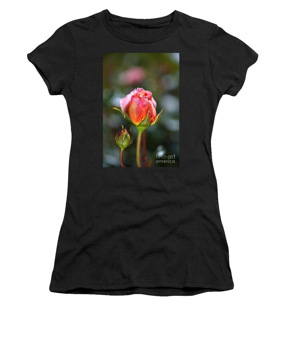 Abraham Darby Rose Flower Women's T-Shirt featuring the photograph Double Pink Rose Buds by Joy Watson