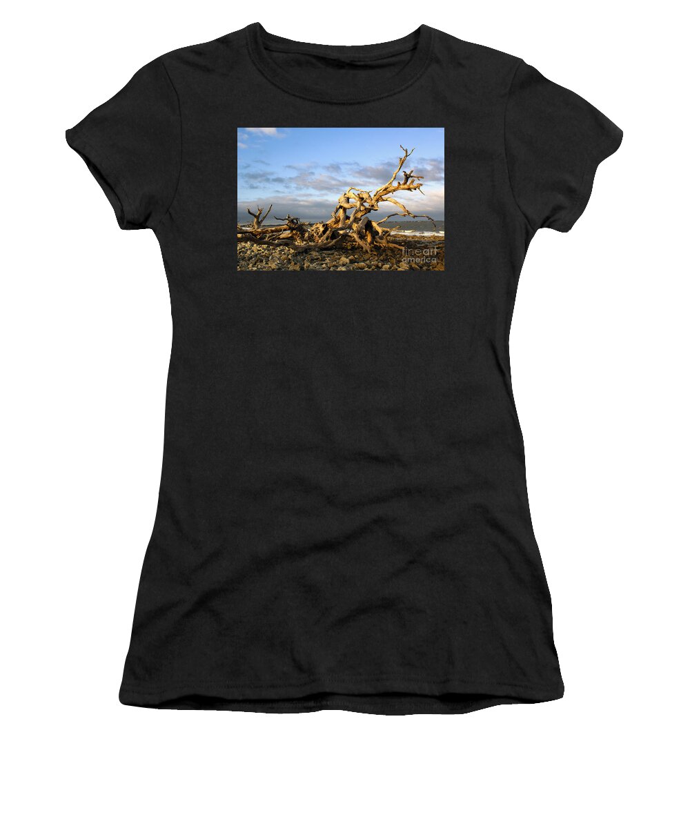 Driftwood Women's T-Shirt featuring the photograph Driftwood Beach Afternoon on Jekyll Island by Sea Change Vibes