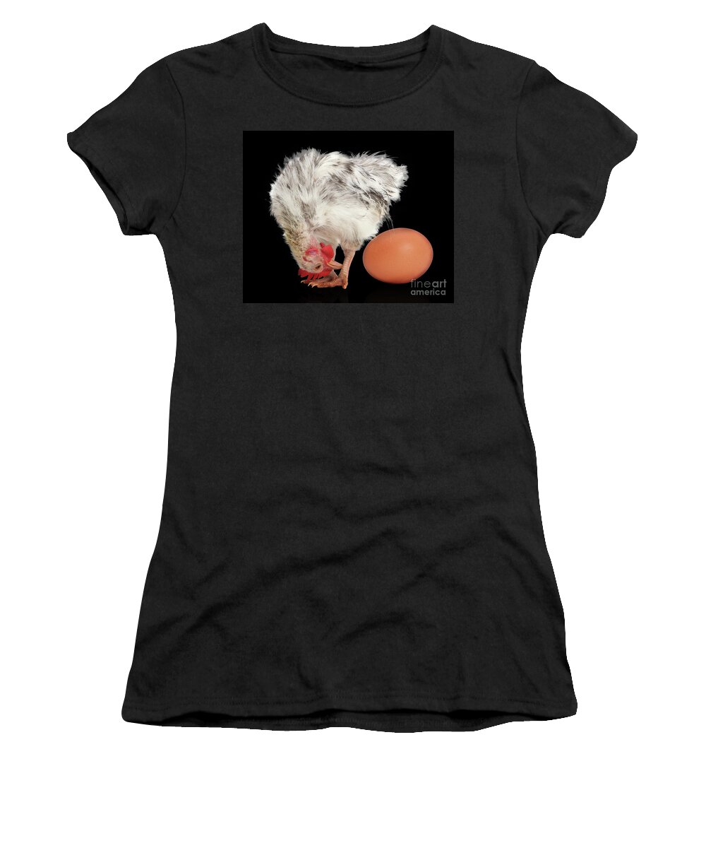 Serama Chicken Women's T-Shirt featuring the photograph Eggstraordinary too by Warren Photographic