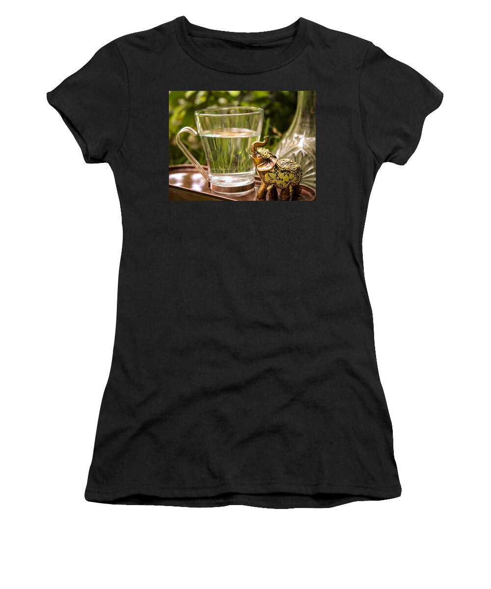 Elephant Women's T-Shirt featuring the photograph Elephant Still Life by W Craig Photography
