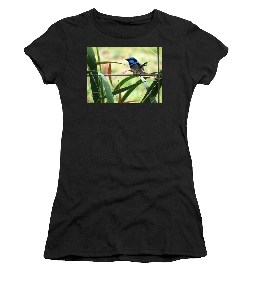 Portrait Women's T-Shirt featuring the photograph Fairy-wren 1 by Joan Stratton