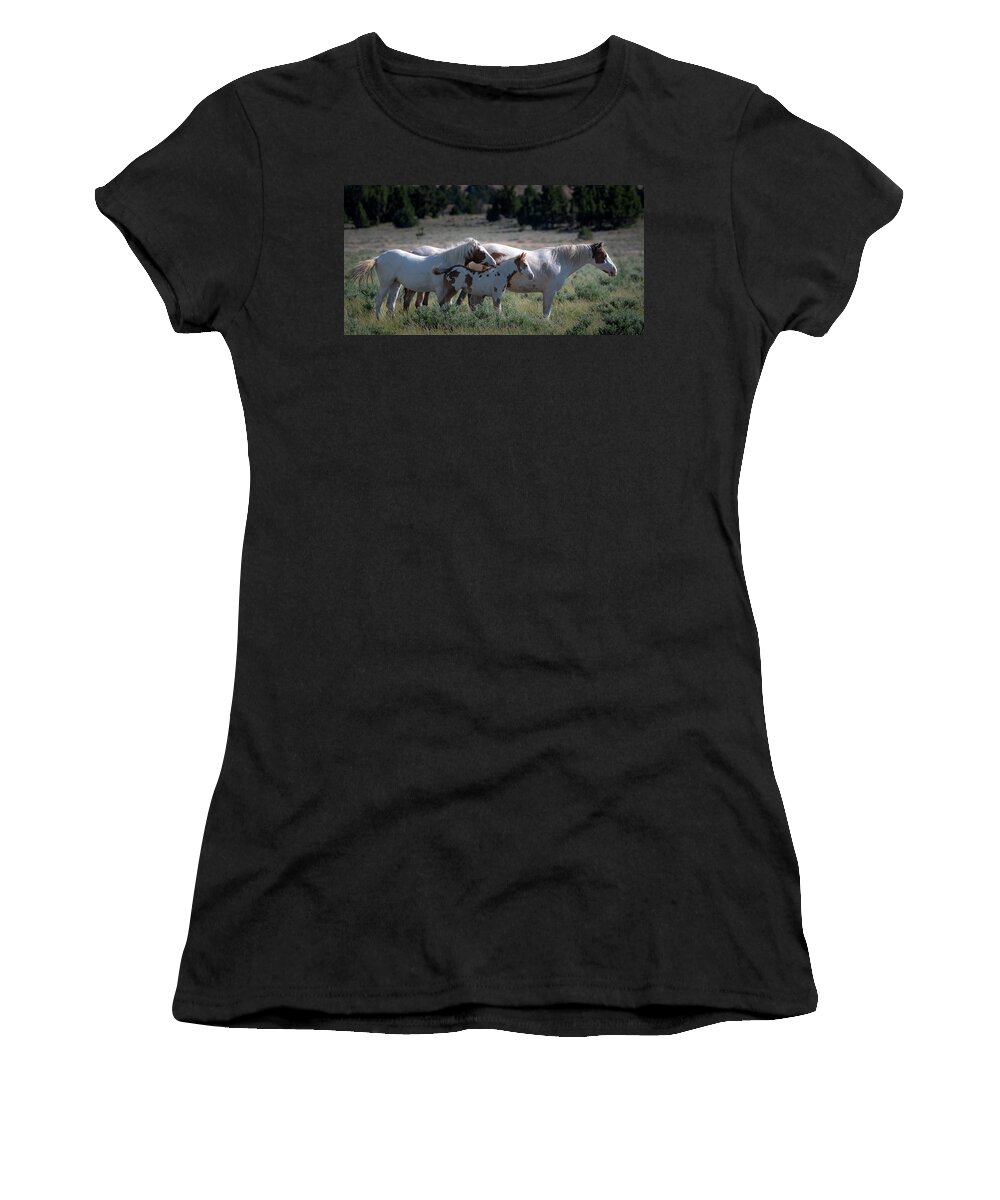 Wild Horses Women's T-Shirt featuring the photograph Family Love by Mary Hone