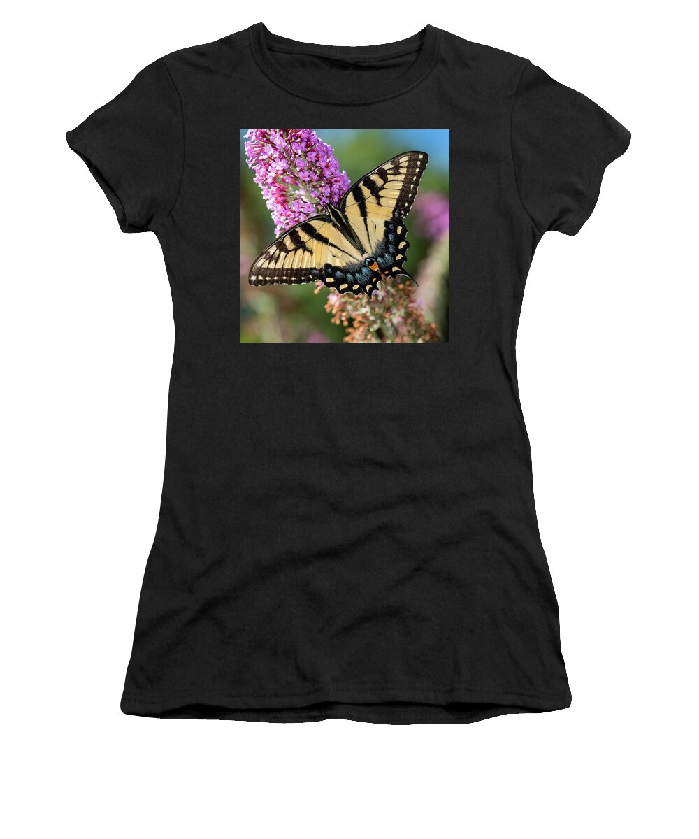 Butterfly Women's T-Shirt featuring the photograph Feeding Butterfly by Norman Reid