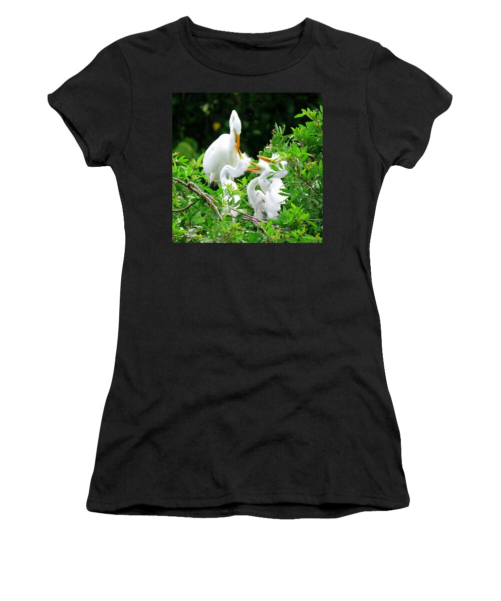 Great Egret Women's T-Shirt featuring the photograph Feeding the Kids 2 by Keith Stokes