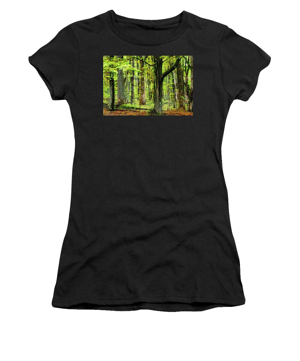 Mountains Women's T-Shirt featuring the photograph Forest Floor Spring Trees fx 503 by Dan Carmichael