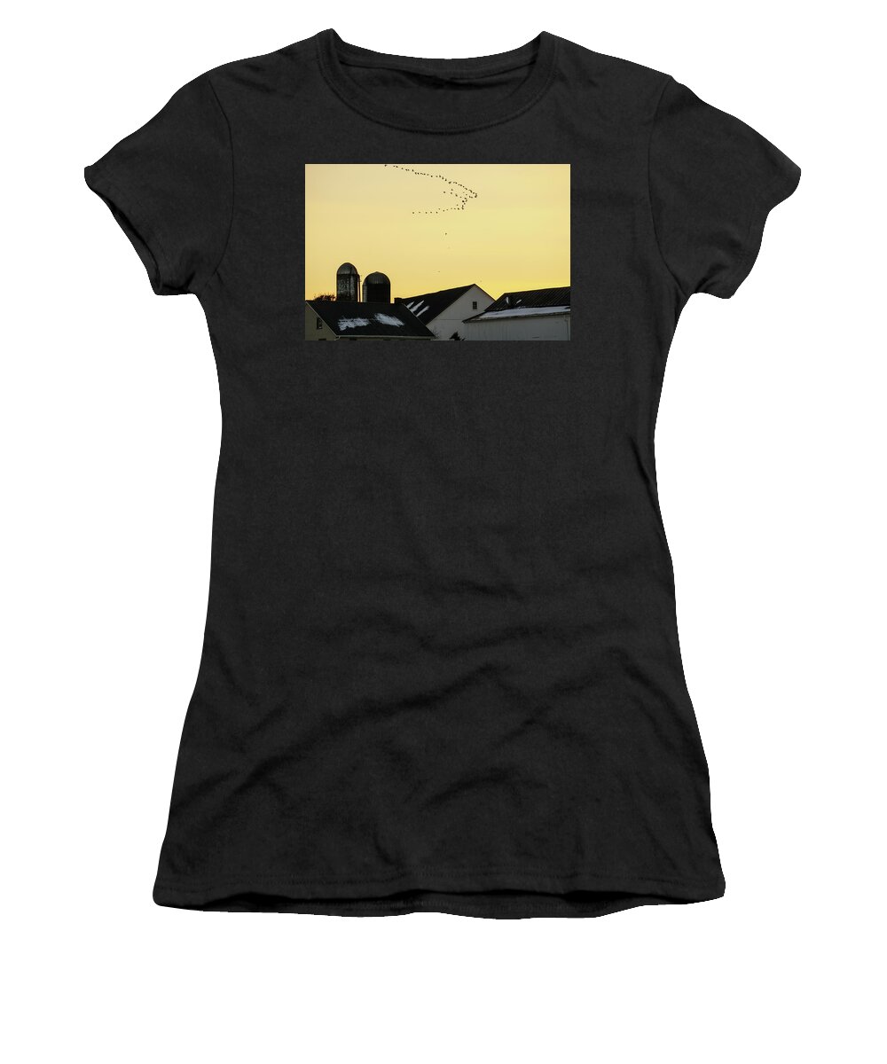 Geese Women's T-Shirt featuring the photograph Geese Overhead by Tana Reiff