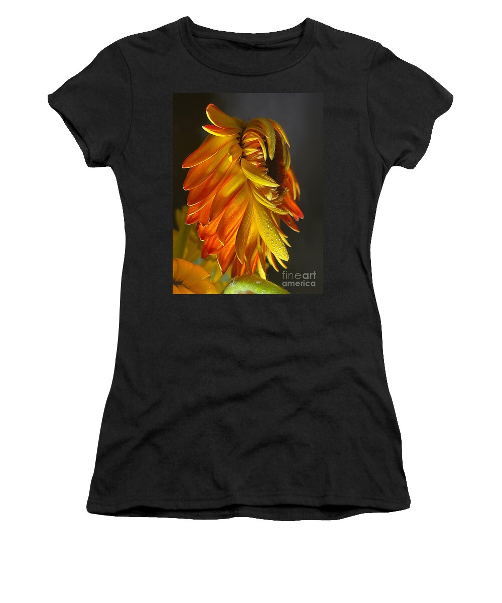 Gerbera Women's T-Shirt featuring the photograph Gerbera Study 1 by Diana Rajala