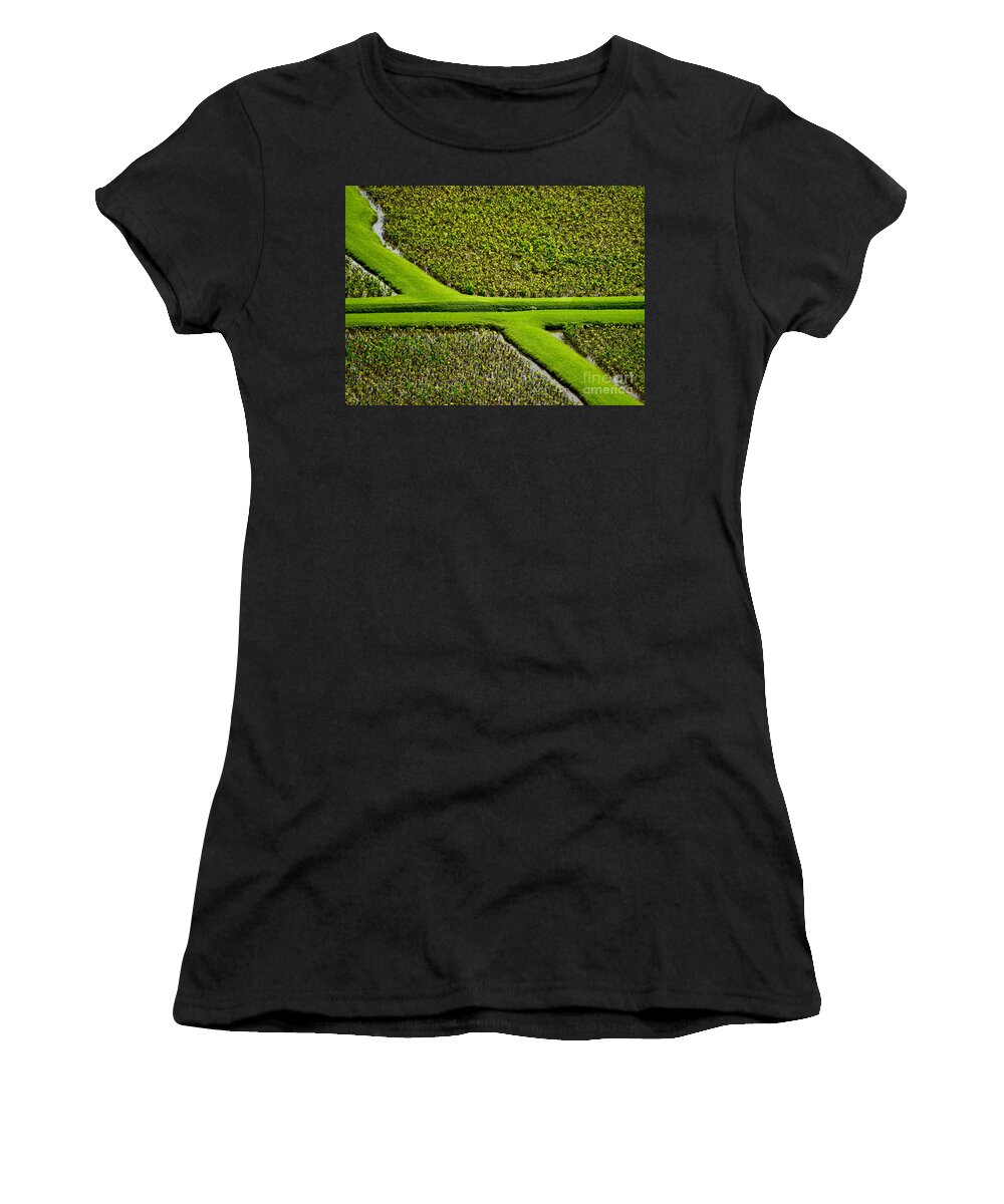 Taro Women's T-Shirt featuring the photograph Green Taro Fields Abstract by Debra Banks